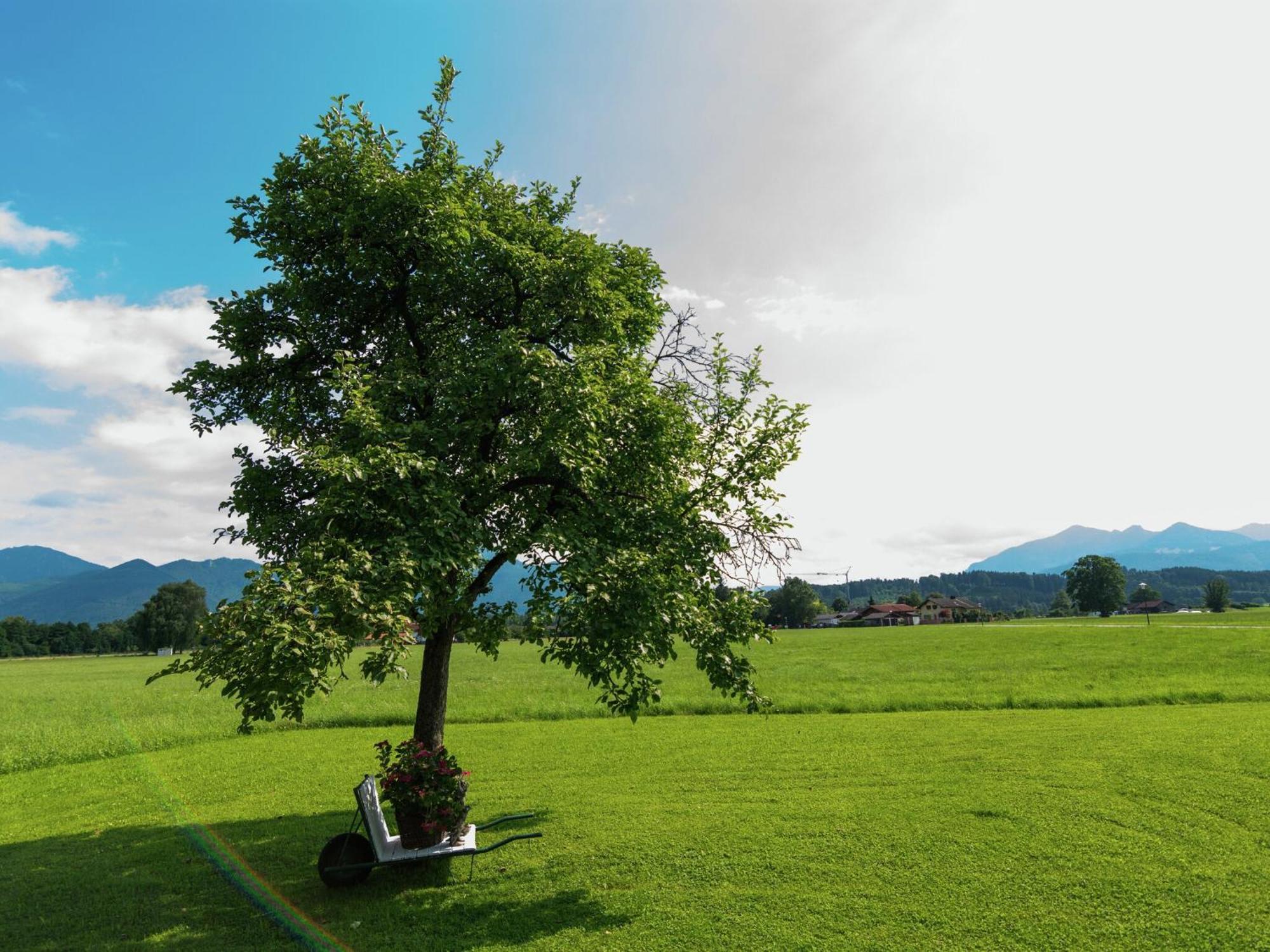 Alluring Holiday Home In Ubersee With Whirlpool エクステリア 写真